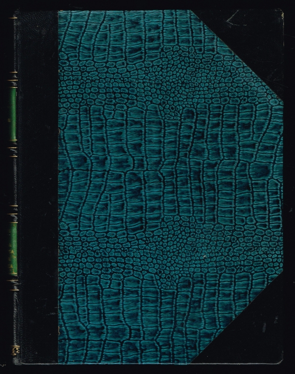 35661 elementos para a historia da imprensa periodica portuguesa alfredo da cunha (2).jpg